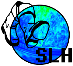 SLH logo